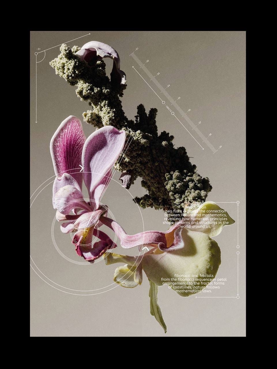 Neo Flora