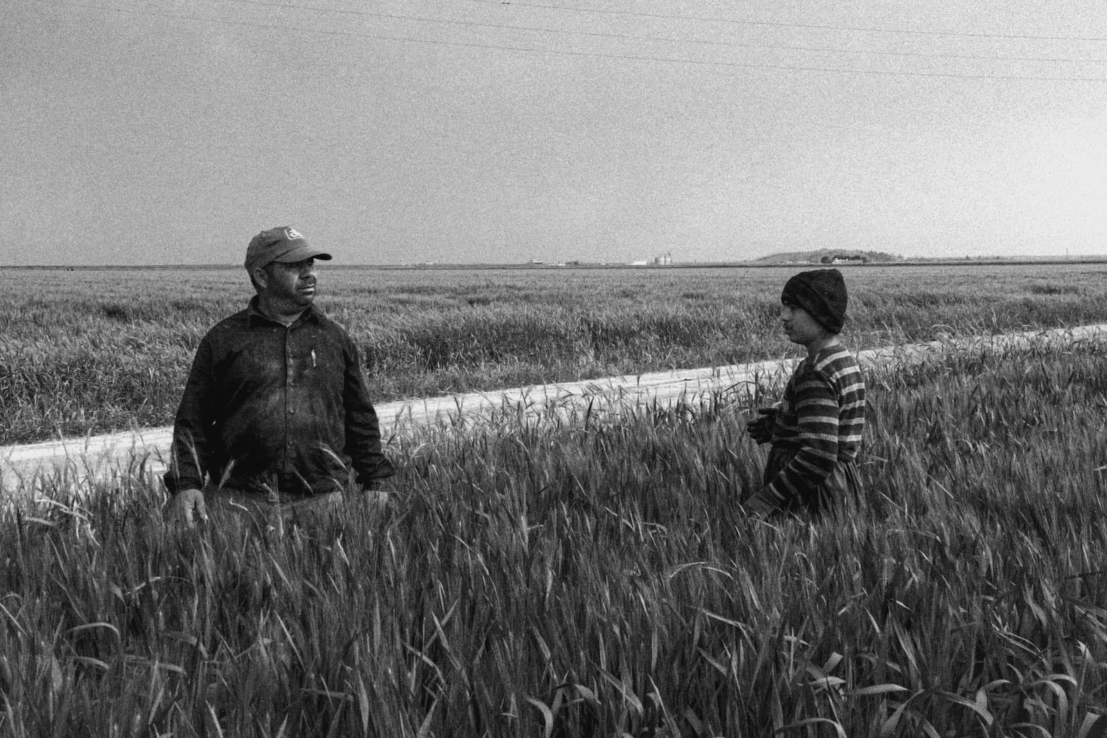 Два фермера стоят в поле пшеницы, чёрно-белый кадр